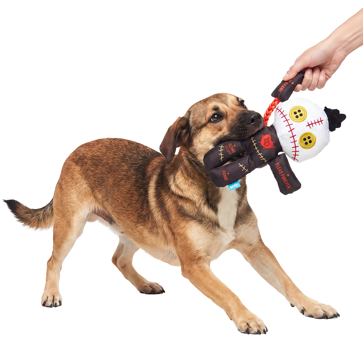Chewdoo Doll Plush Extra-Large + Tug Dog Toy