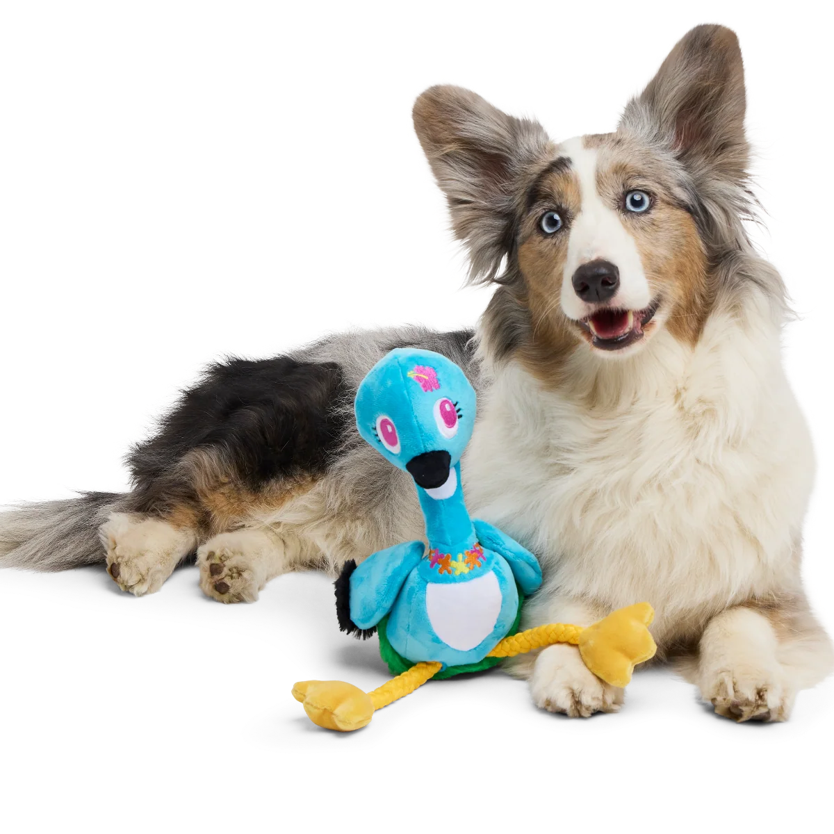 Lele the Nene Goose Plush Tug + Extra-Large Dog Toy