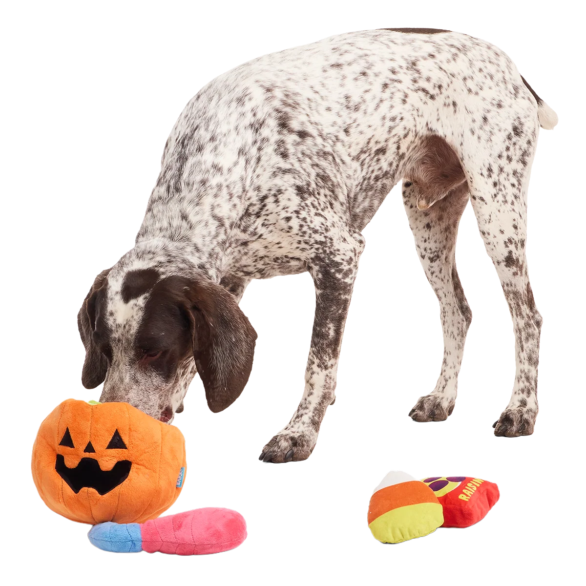 Howl-o-ween Haul Plush Extra-Large + Multi-Part + Enrichment Dog Toy