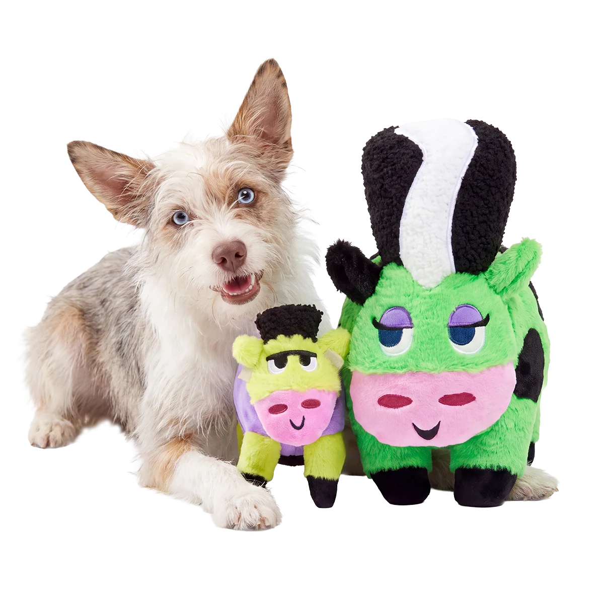 Bertha of Frankenstein Plush Extra-Large + Tug + Enrichment Dog Toy