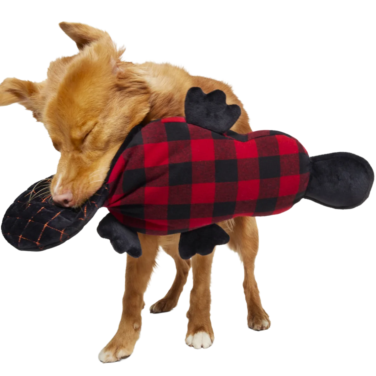 Plaidypus Plush XXL Tug Dog Toy