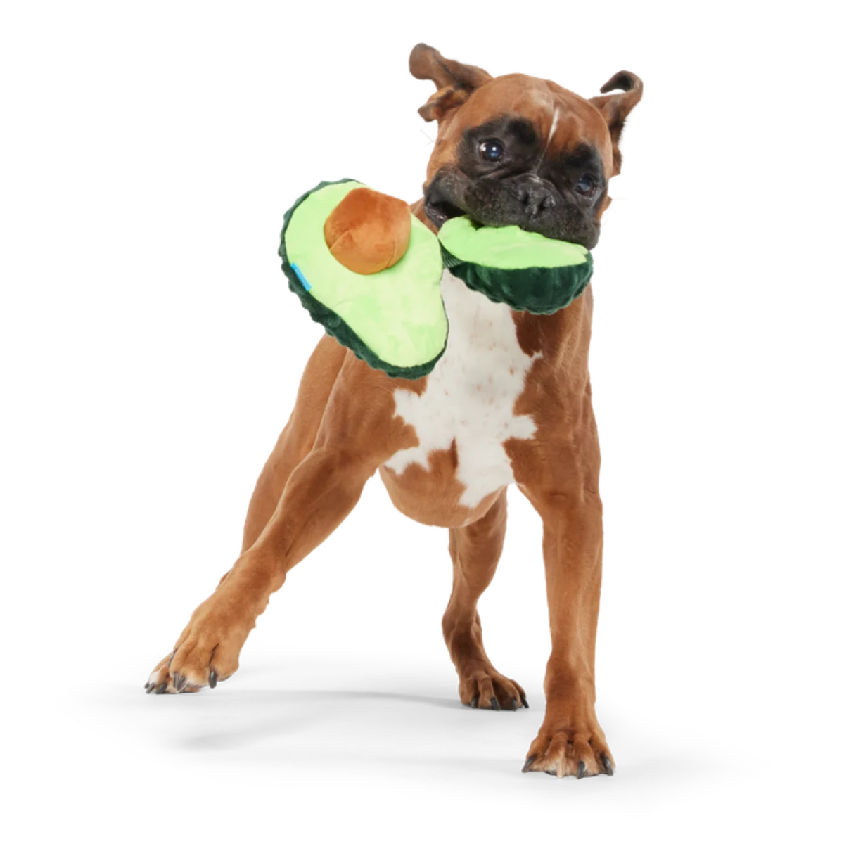 Arfocado Plush Enrichment + Tug Dog Toy