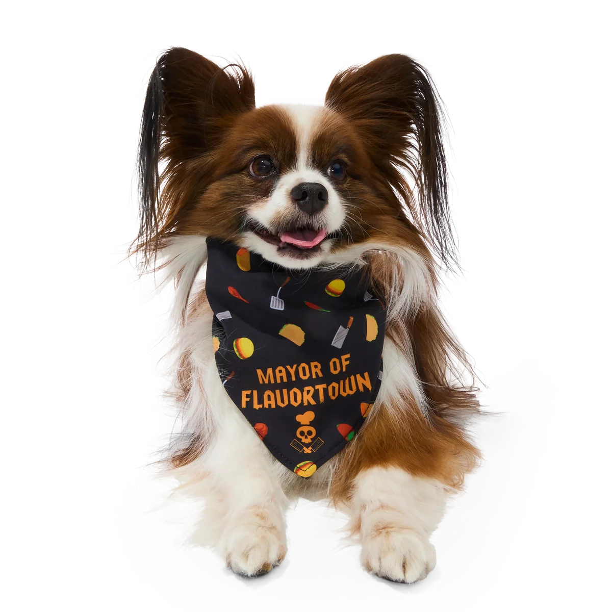 Flavortown™ Dog Bandana
