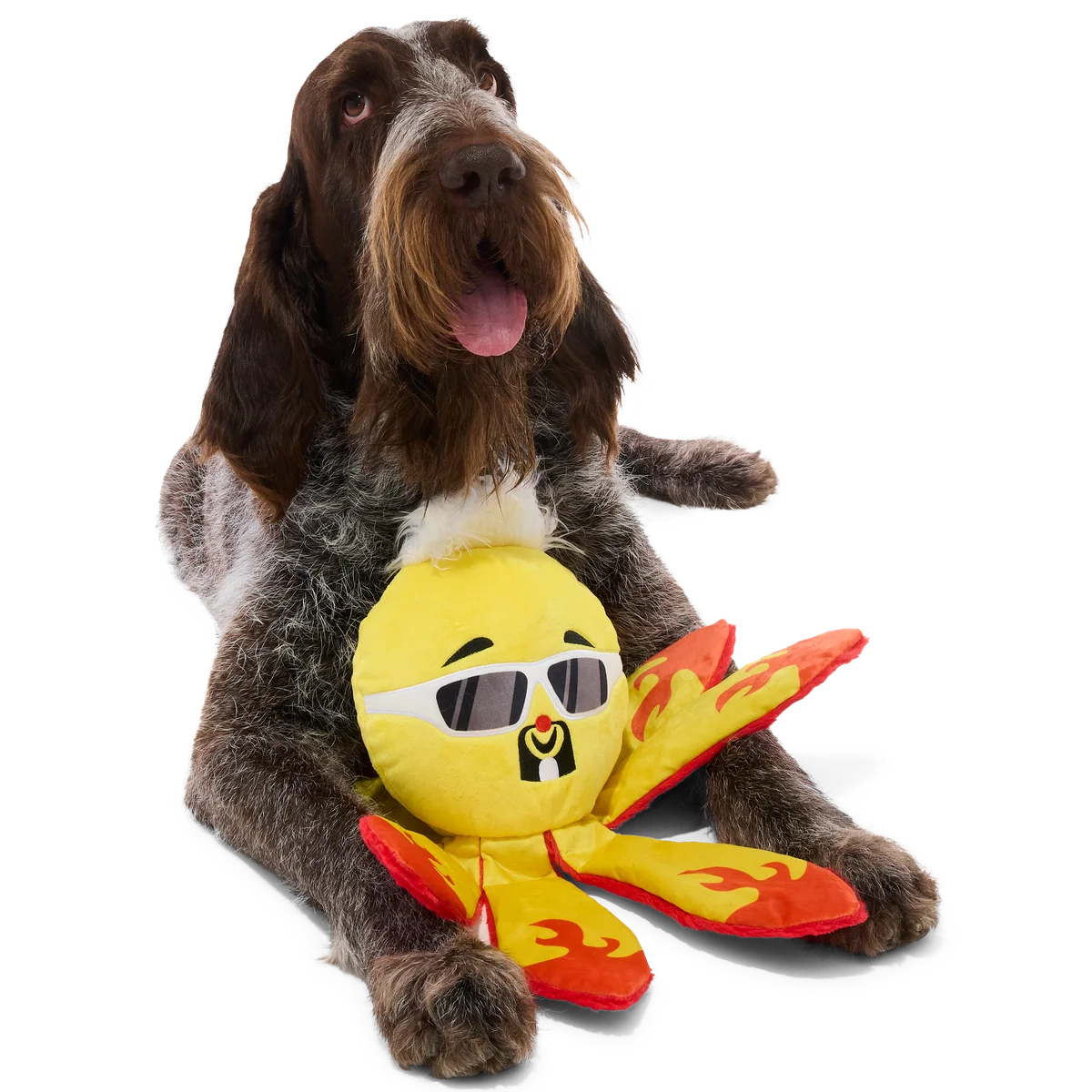 Off The Hook Ollie Plush Extra-Large + Tug Dog Toy