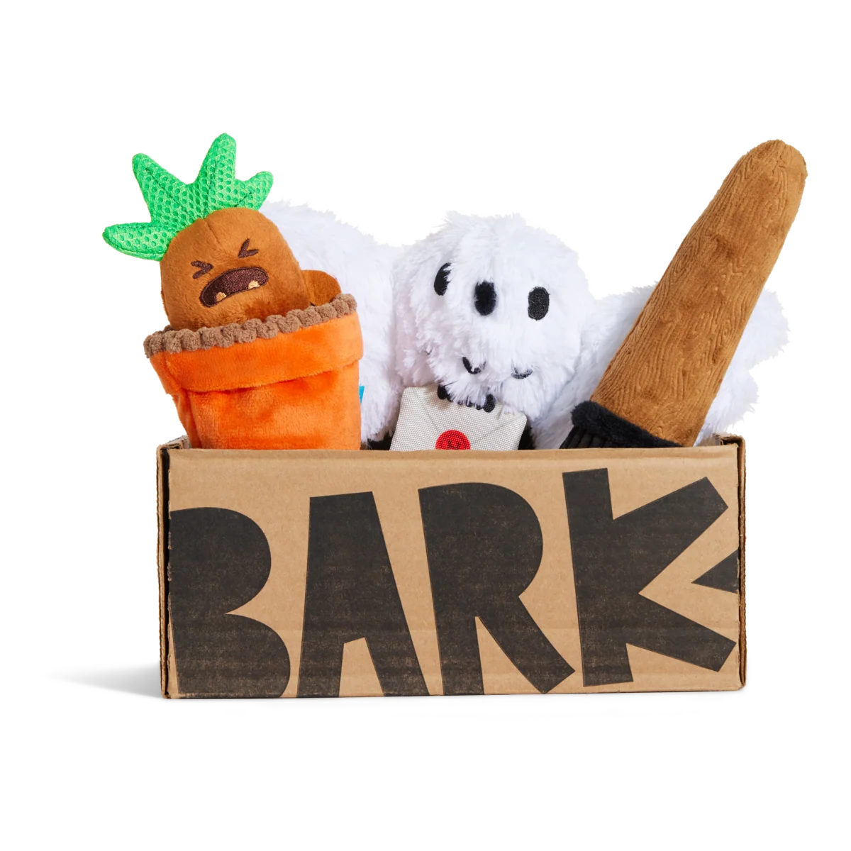 HARRY POTTER™ BarkBox - One Month Gift Box