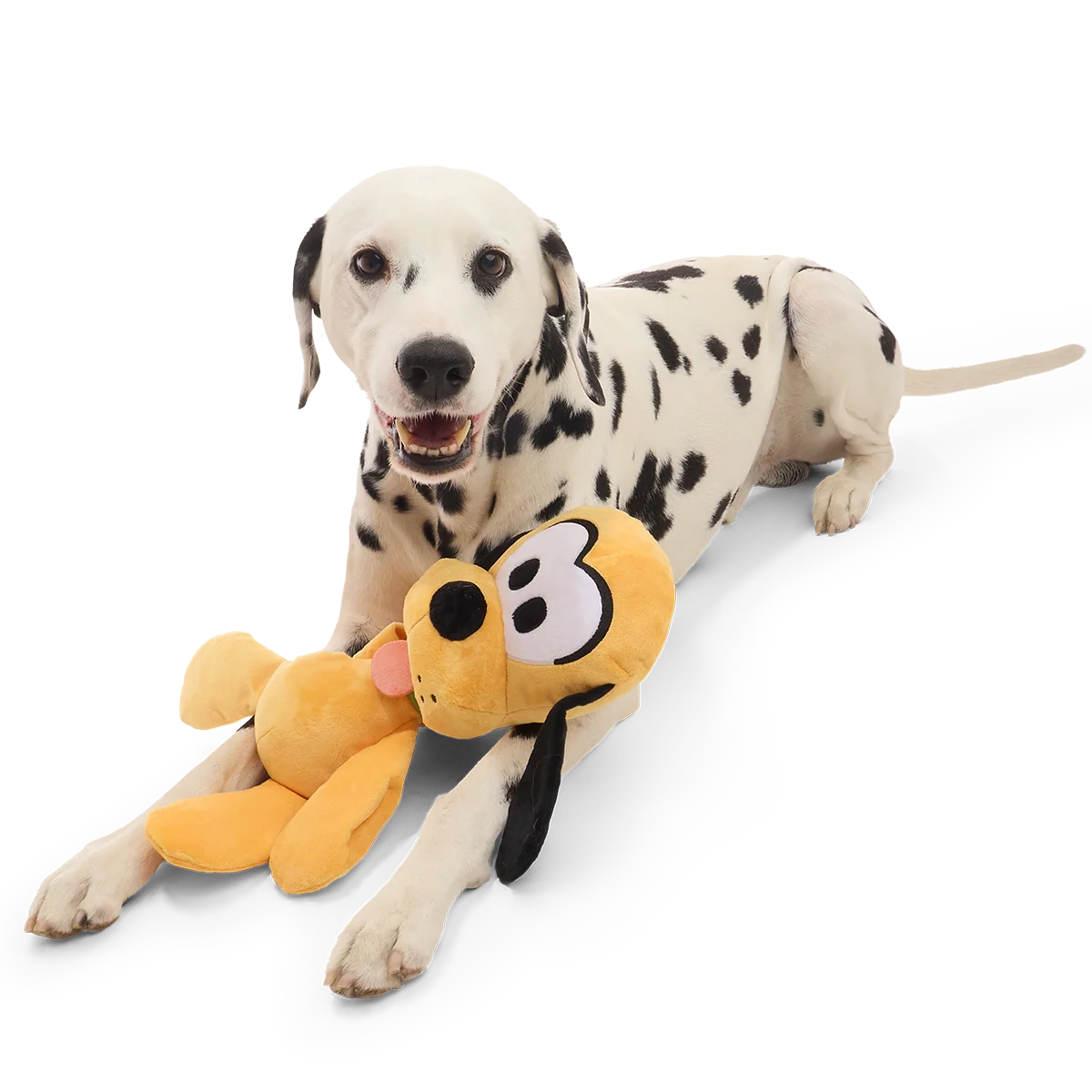 Big Dog Pluto Plush Extra-Large + Tug Dog Toy