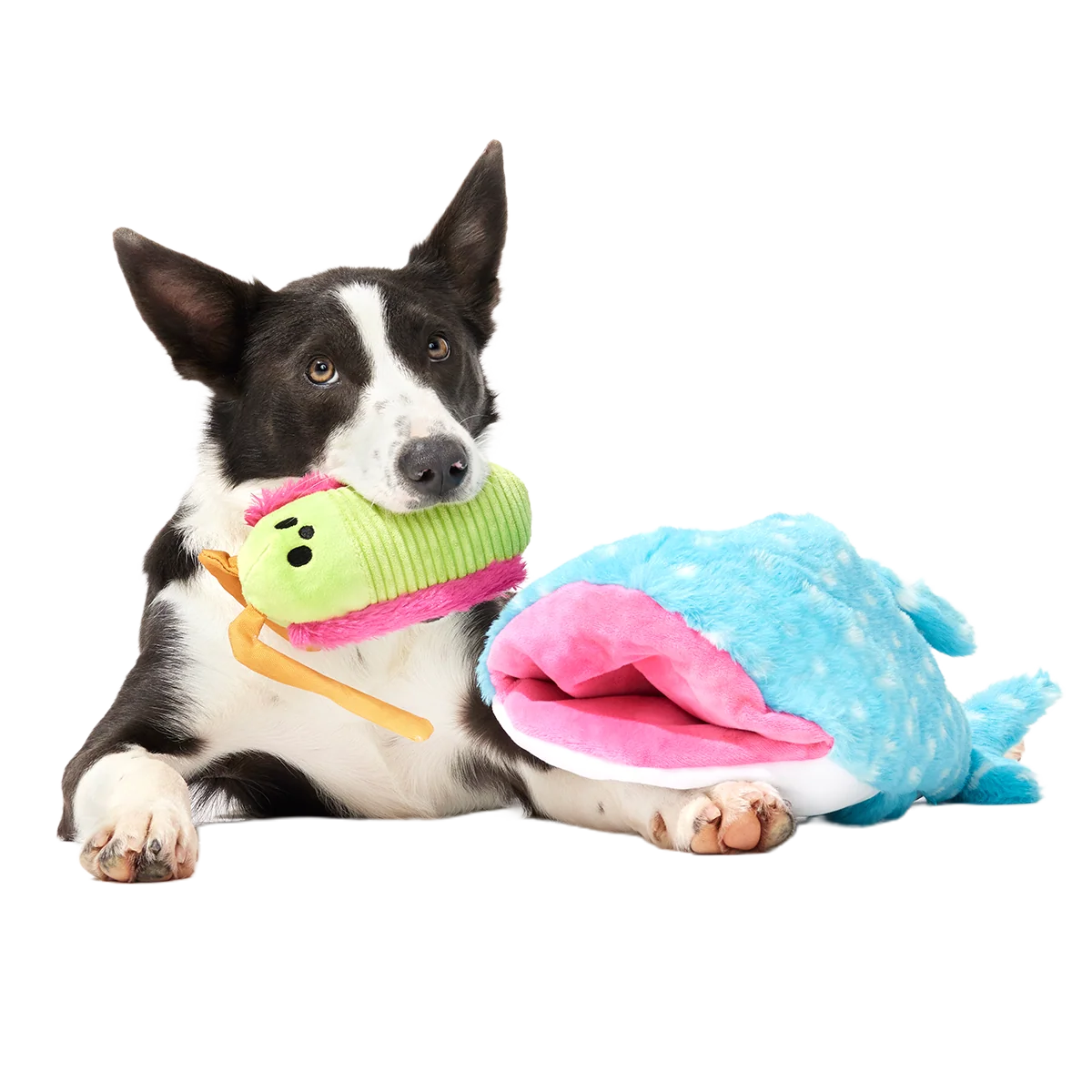 Big Mark The Whale Shark Plush Extra Large + Multi-Part Dog Toy