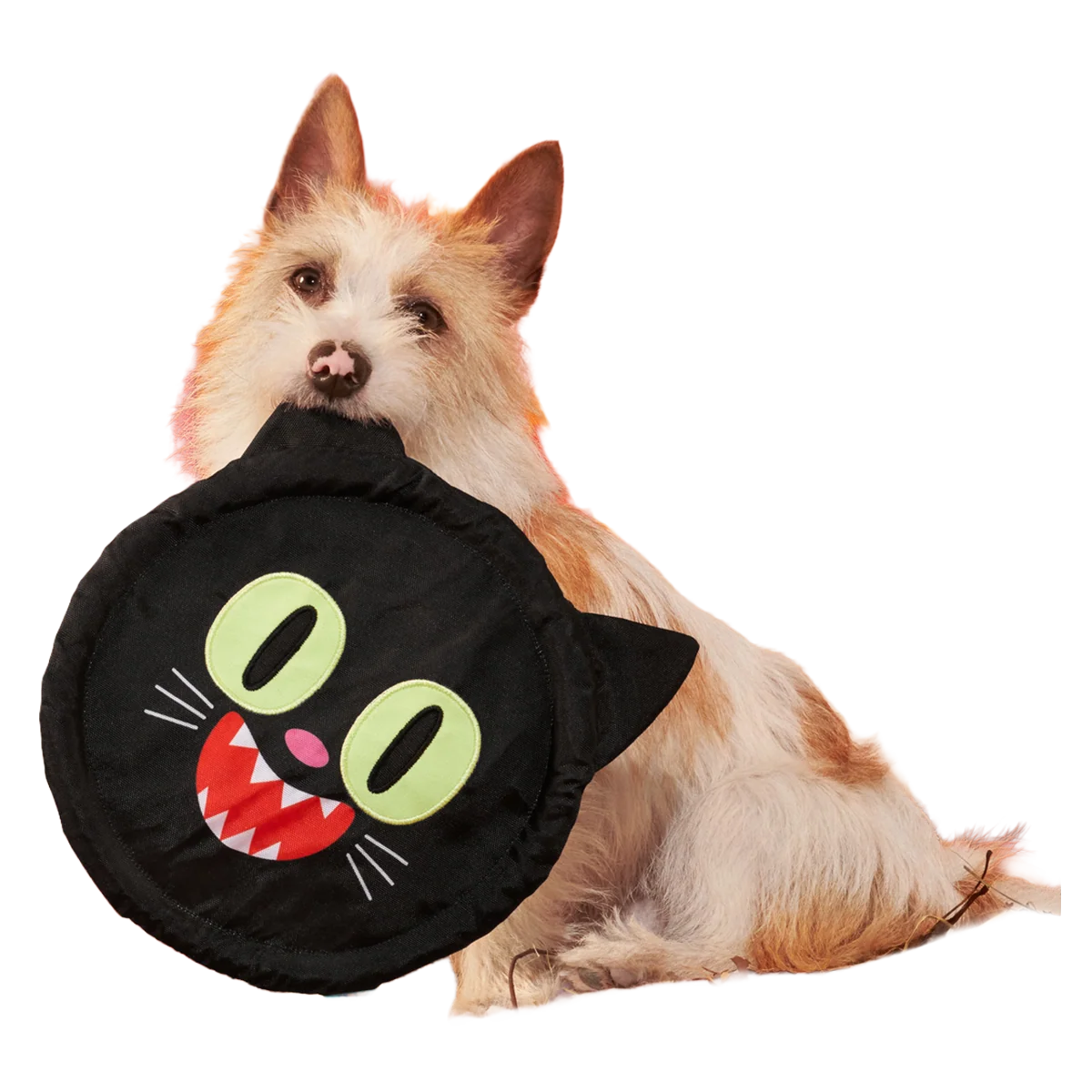 Black Catch Plush Extra-Large + Fetch Dog Toy