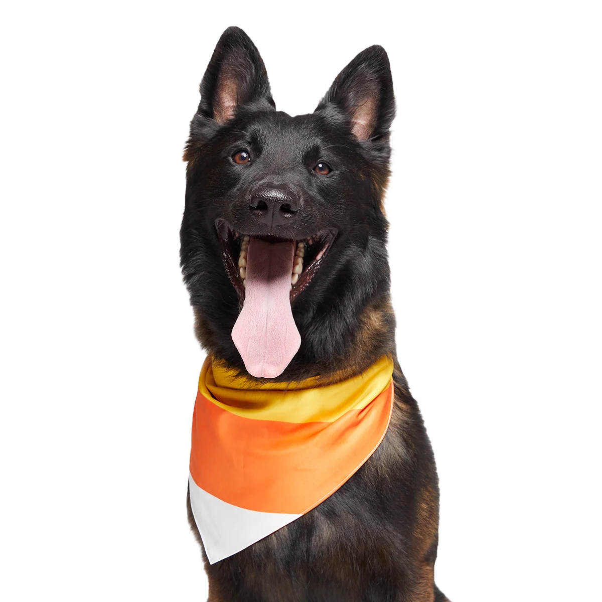 Candy Corn Dog Bandana