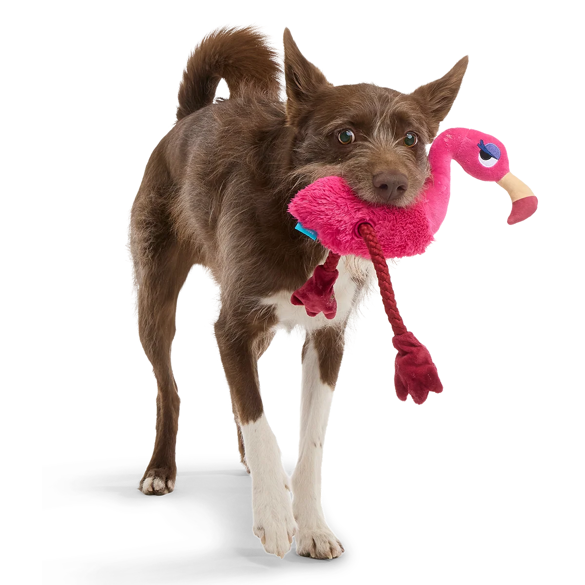 Fahari Flamingo Plush Extra-Large + Tug Dog Toy