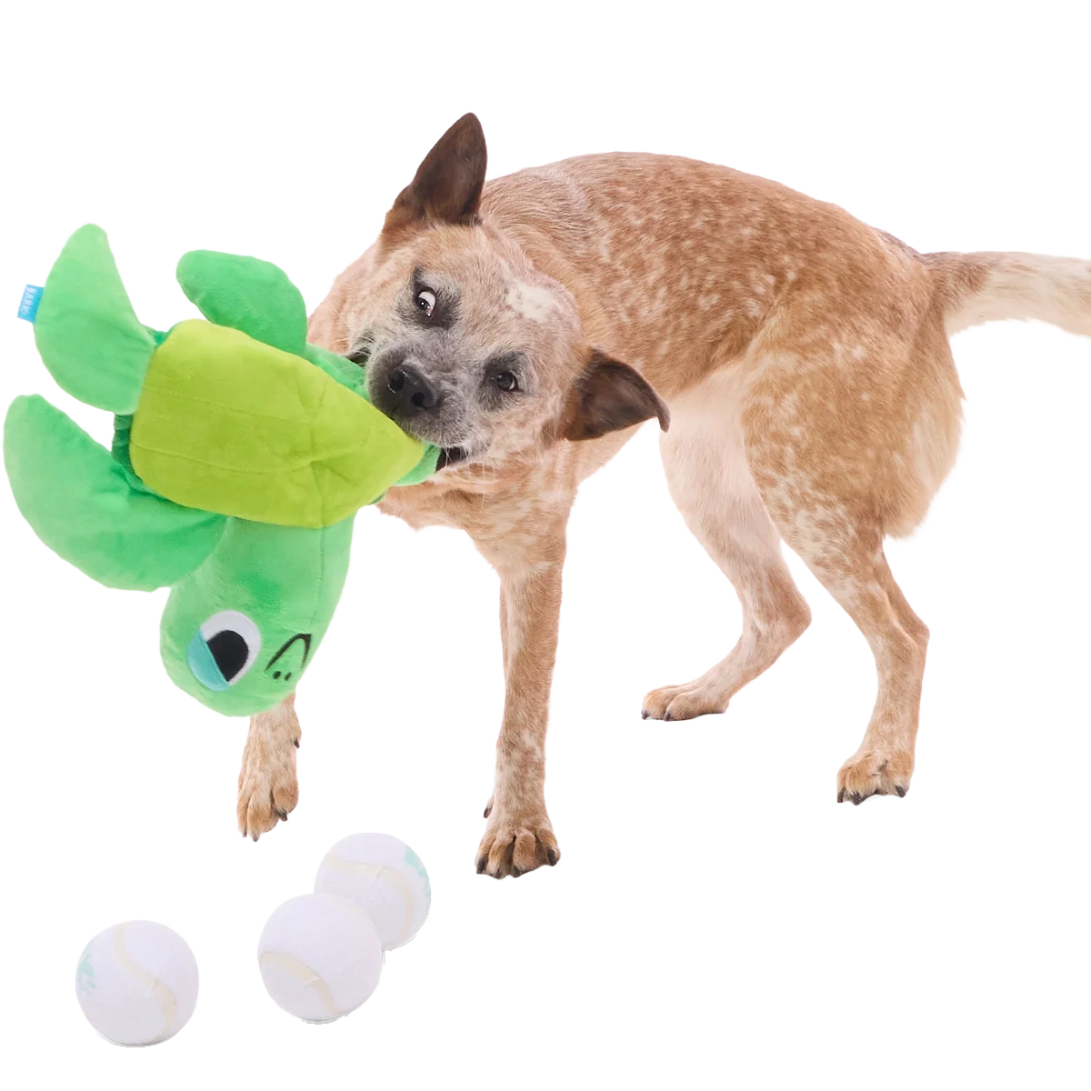 Fertile Myrtle Plush Extra-Large + Multi-Part + Fetch Dog Toy