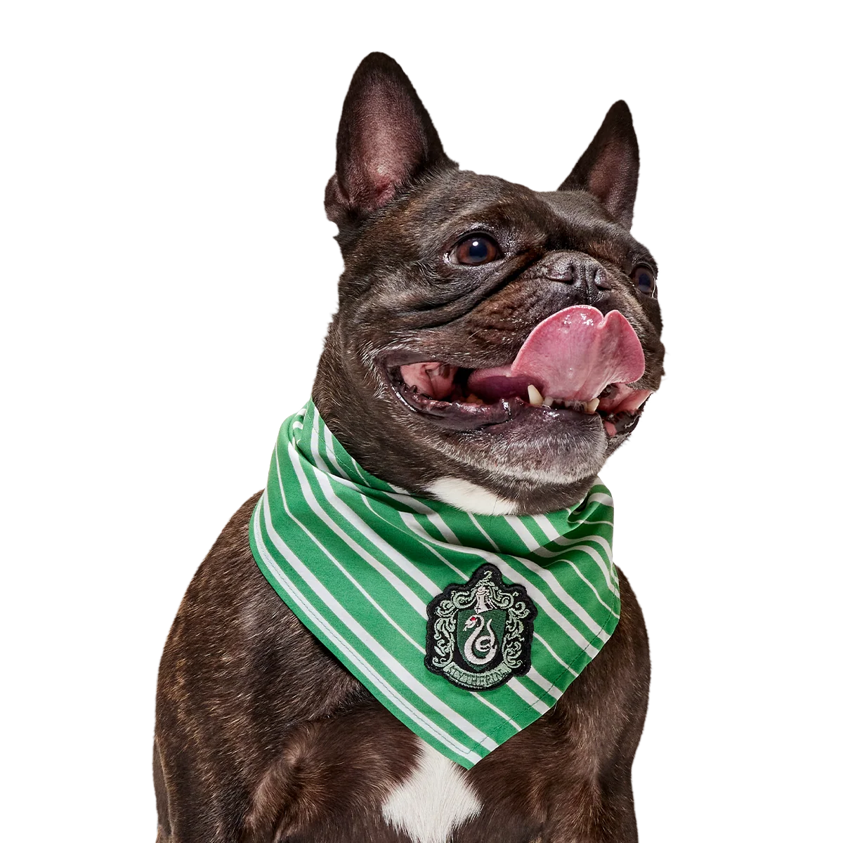 HARRY POTTER™ House Dog Bandana