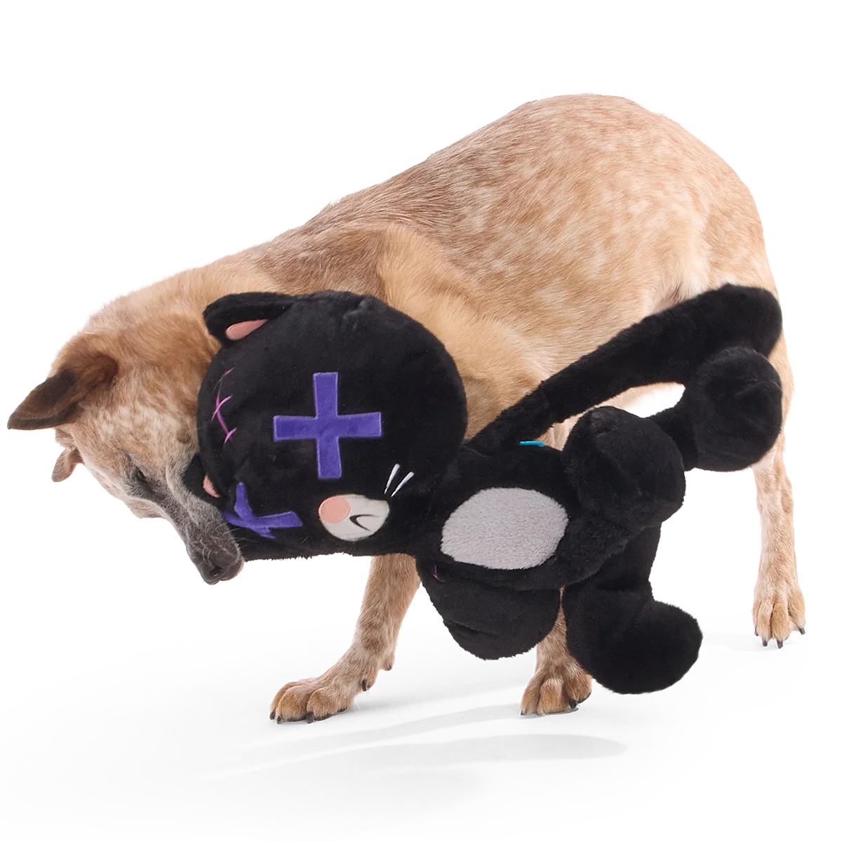 Kolossal Klaus Plush Extra-Large + Tug Dog Toy