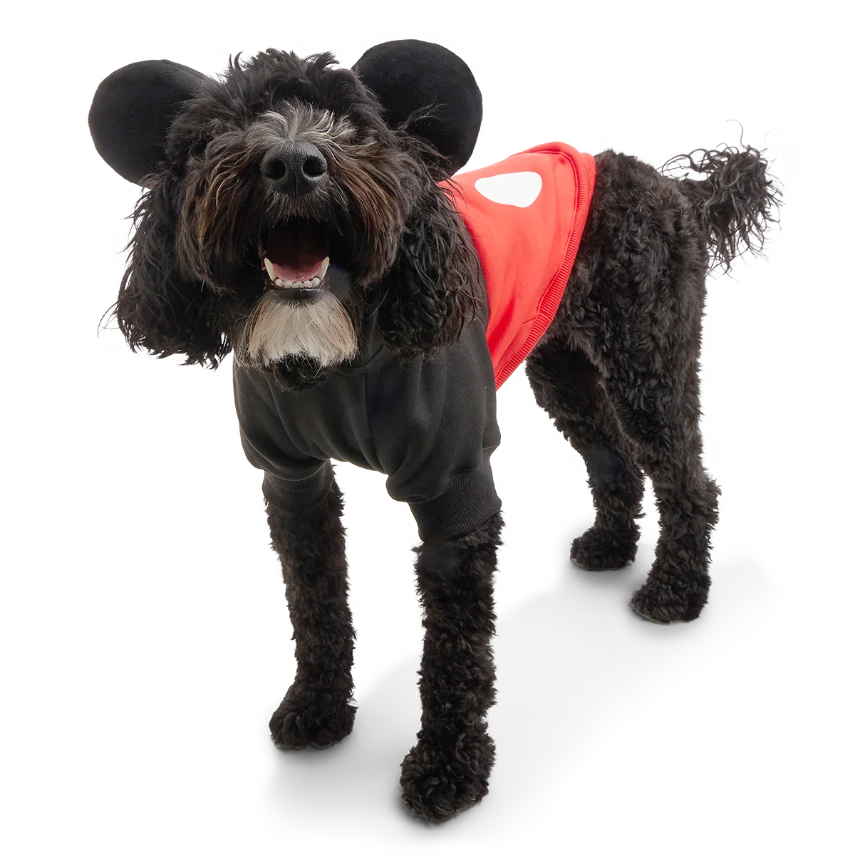 Mickey Mouse Dog Hoodie