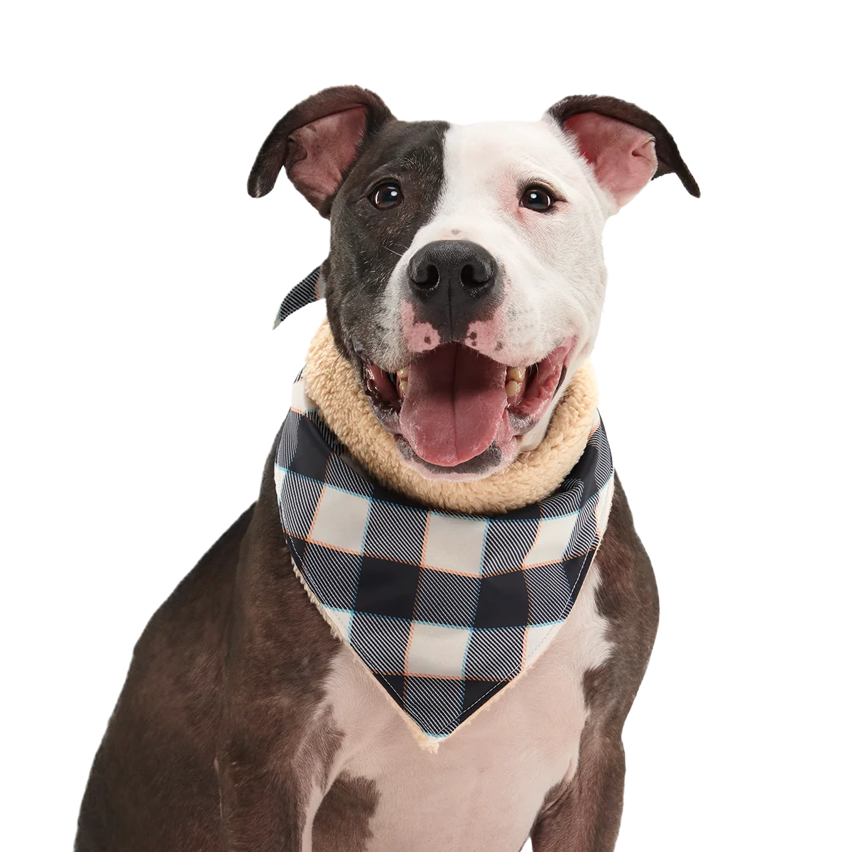 Plaid To The Bone Dog Bandana