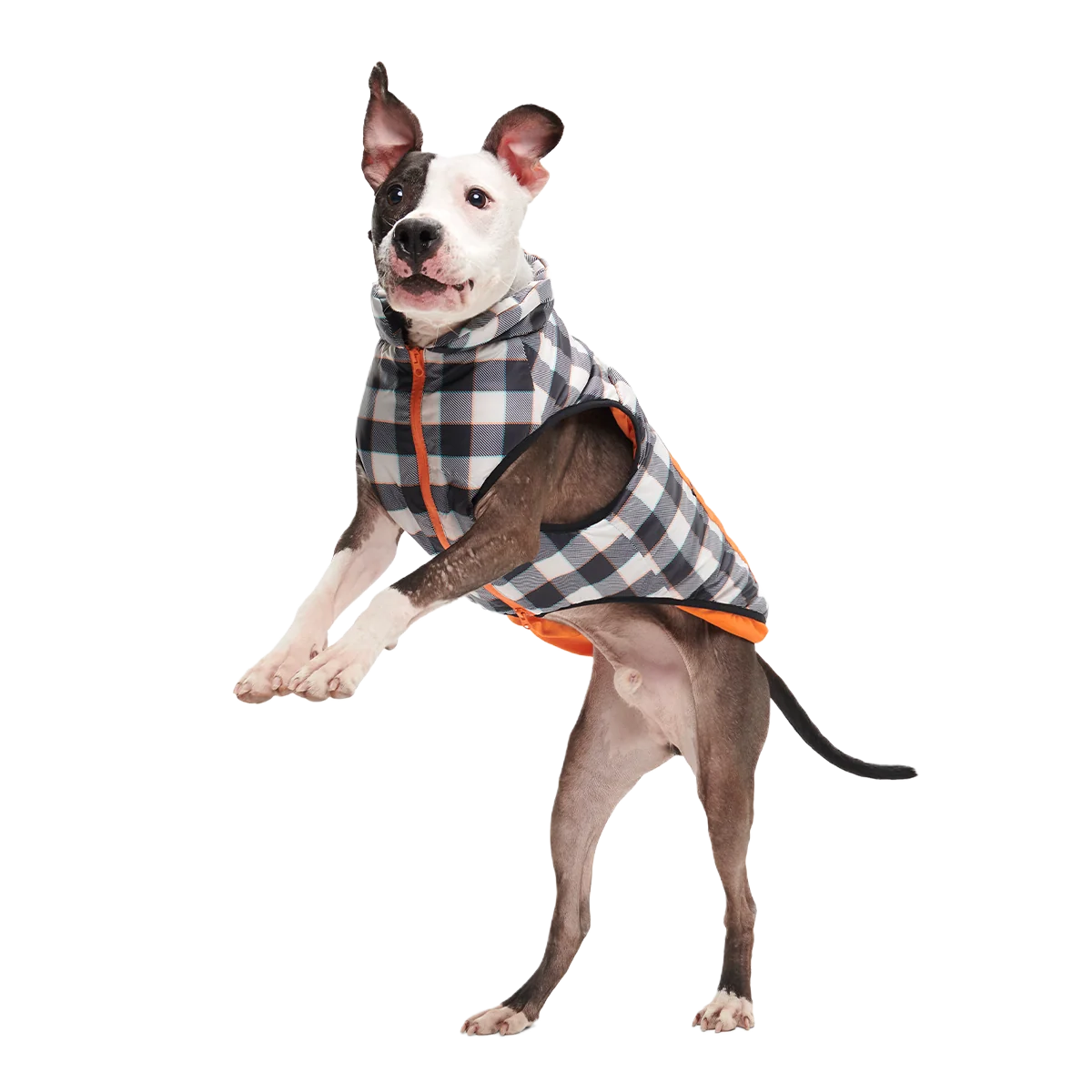 Plaid To The Bone Dog Puffer Vest