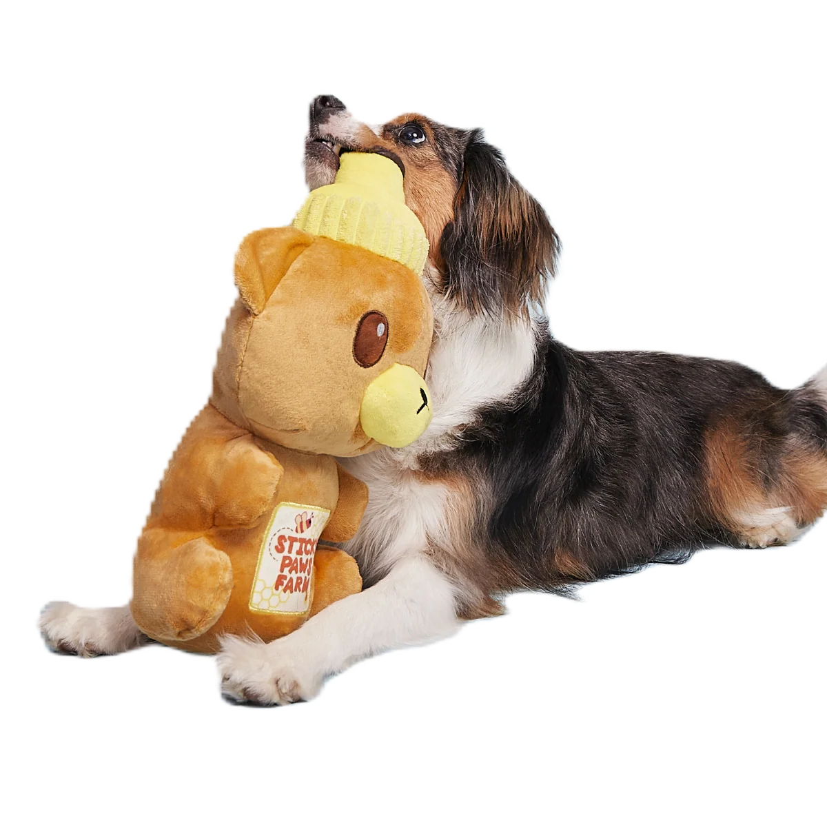 Sticky Paws Honey Bear Plush Extra-Large Dog Toy