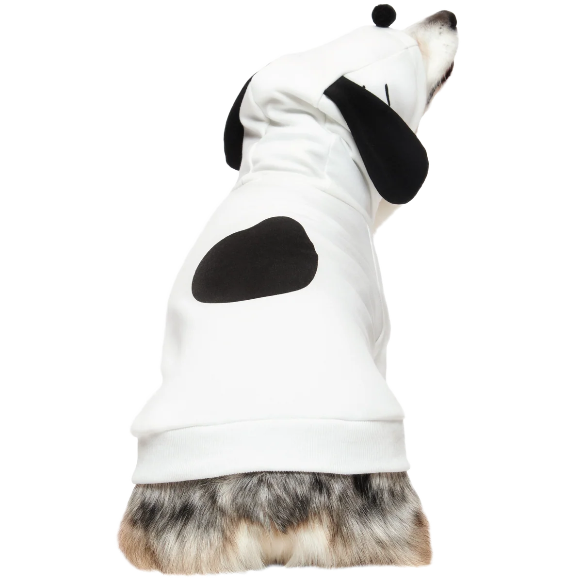Snoopy Dog Hoodie