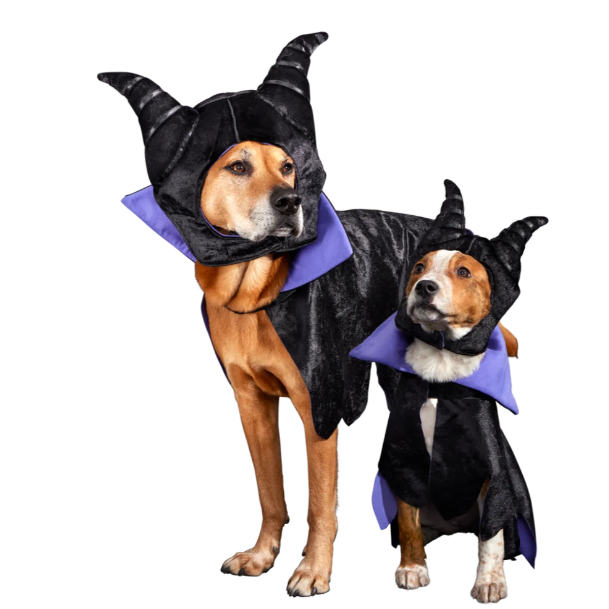 Maleficent Dog Costume