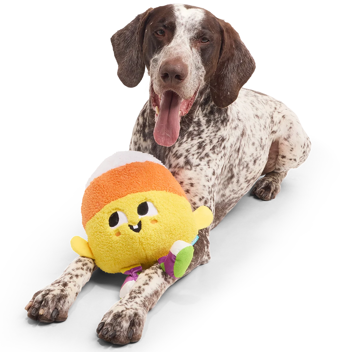 Randy Corn Plush Extra-Large + Tug Dog Toy