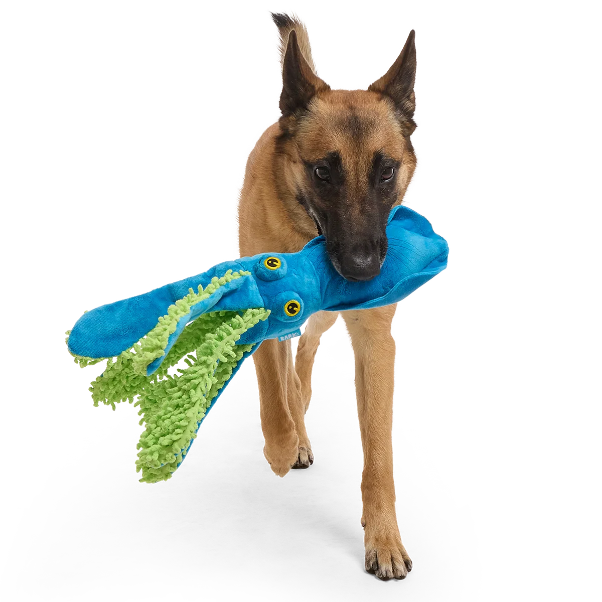 Shifty Sid the Squid Plush Extra-Large + Tug Dog Toy