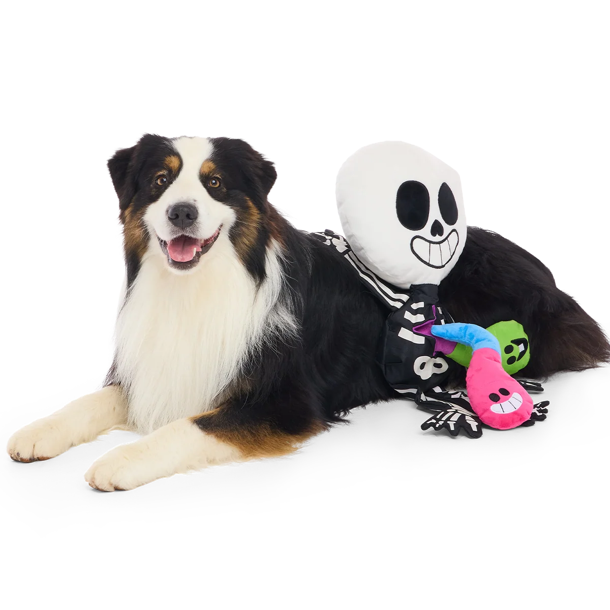 Skeleton Gnawtopsy Plush XXL Multi-Part + Tug + Enrichment Dog Toy