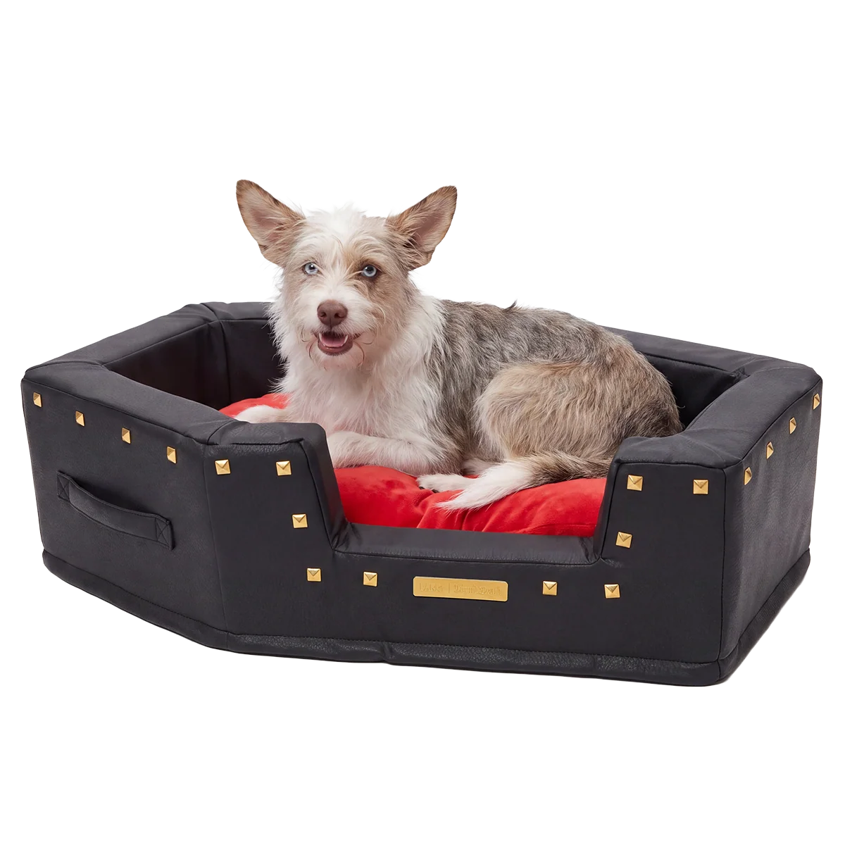 Sleep When You're Fed Dog Bed