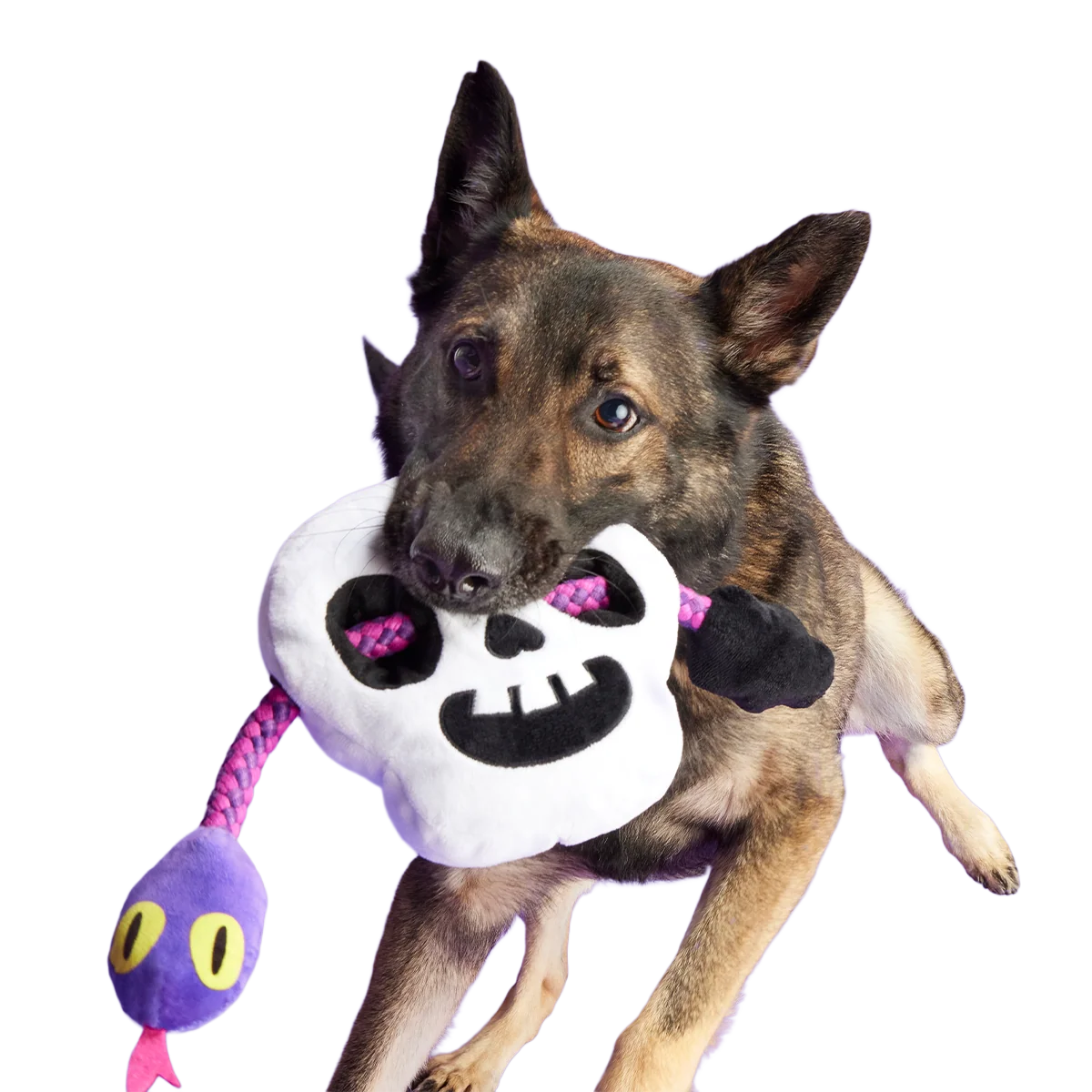 Sssskull Plush Extra-Large + Tug Dog Toy