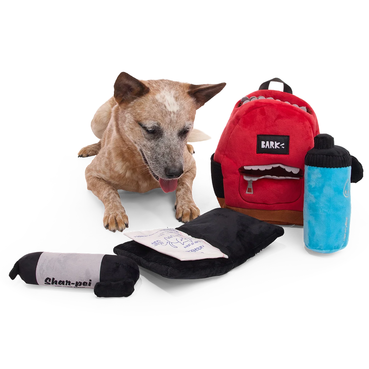 Teacher's Pet Backpack Plush Extra-Large + Multi-Part + Enrichment Dog Toy