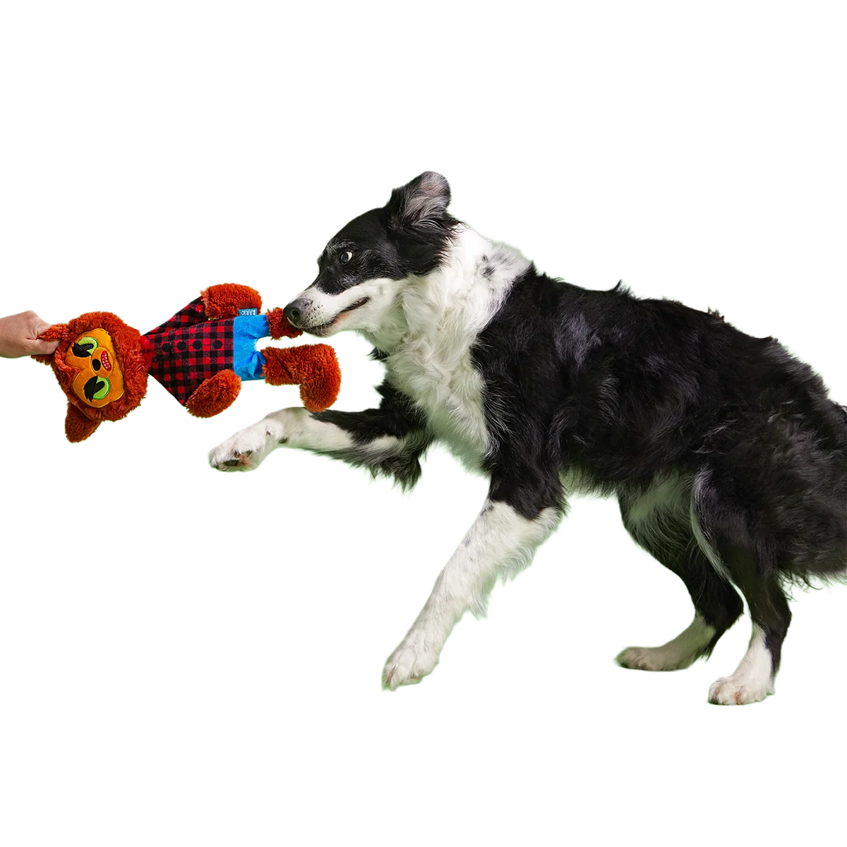 Teen Woof Plush Extra-Large + Tug Dog Toy