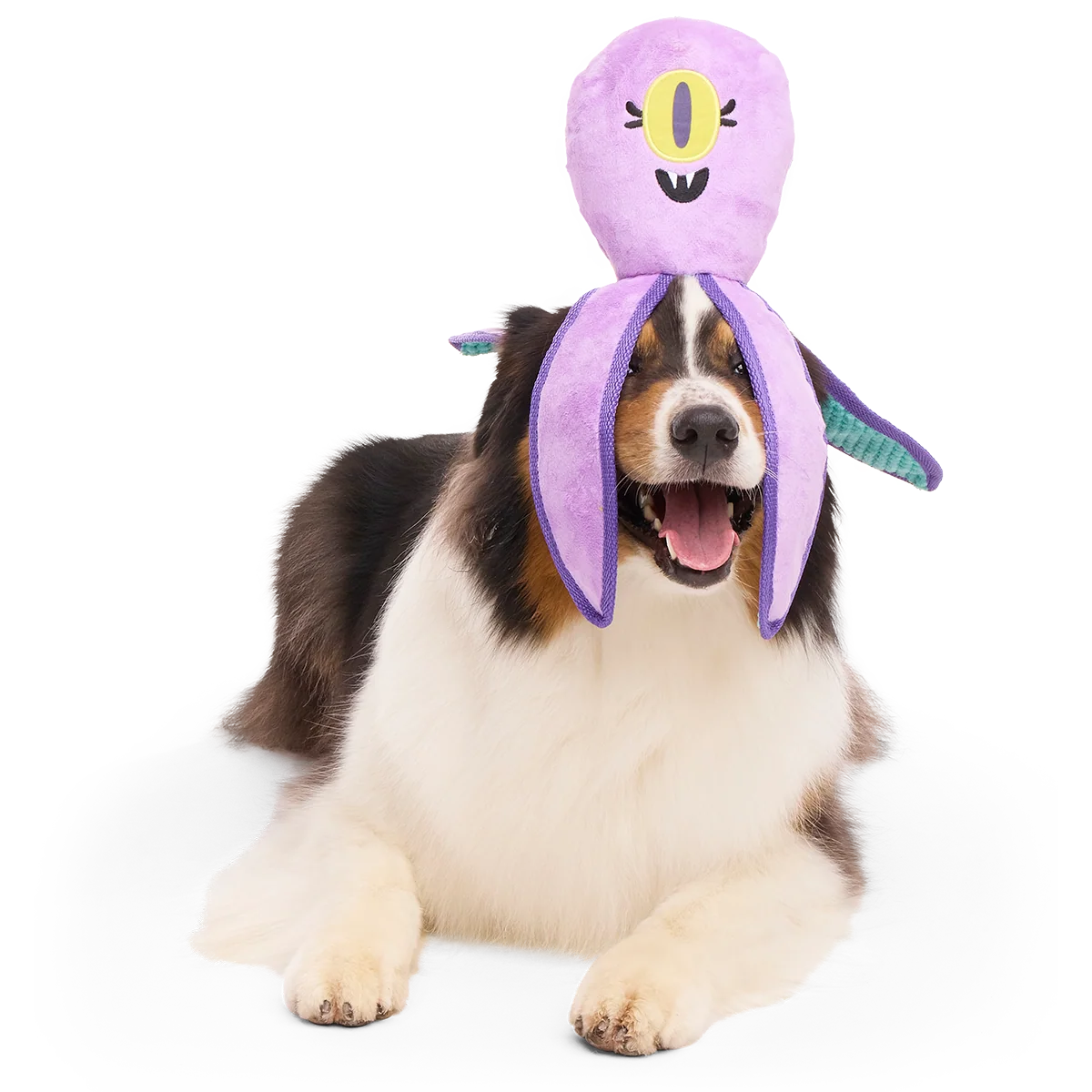 U.F.Ollie Plush Extra-Large + Tug Dog Toy