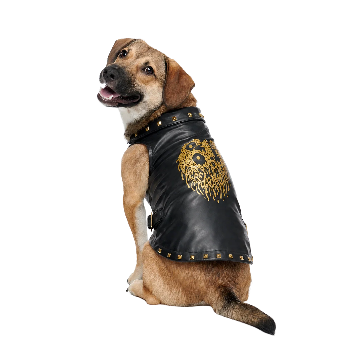 Vest in Peace Dog Vest