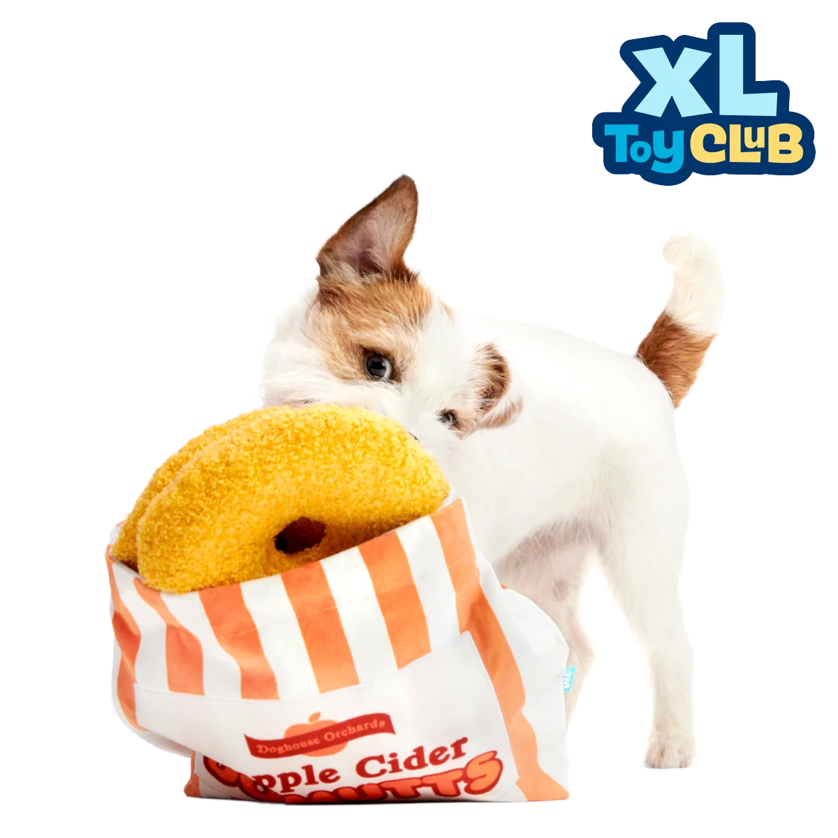 Extra-Large Toy Club. Monthly Plush XL Dog Toys