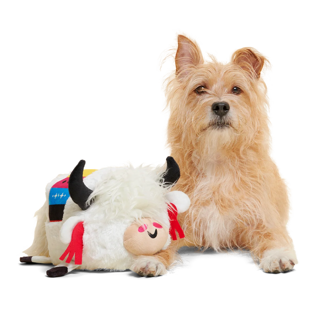 Yeshe the Yak Plush Extra-Large + Tug Dog Toy