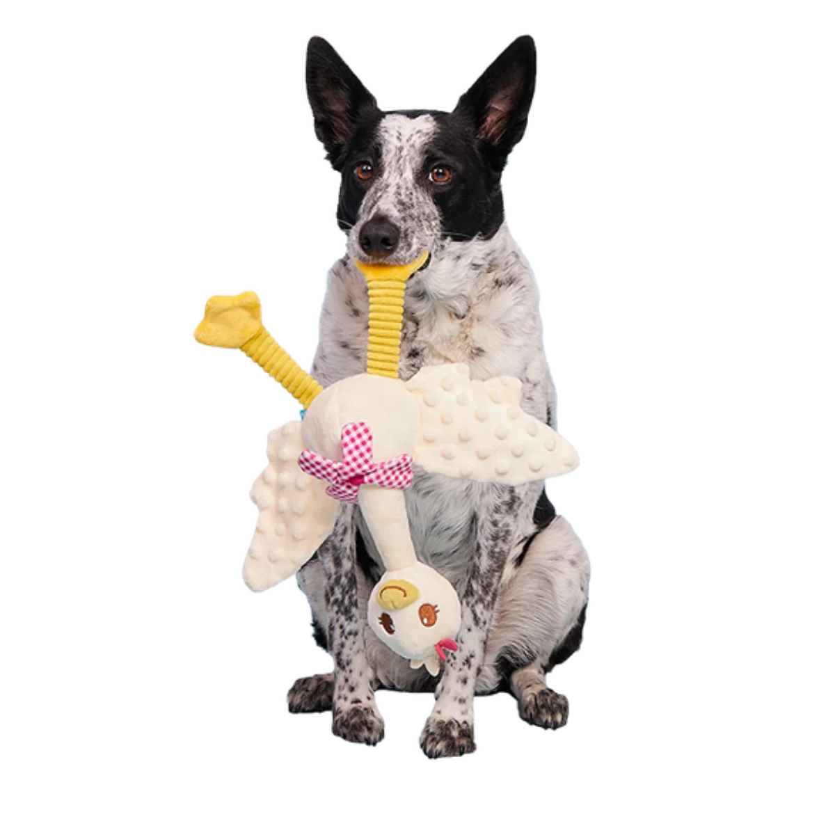 Gingham Goose Plush Extra-Large + Tug Dog Toy
