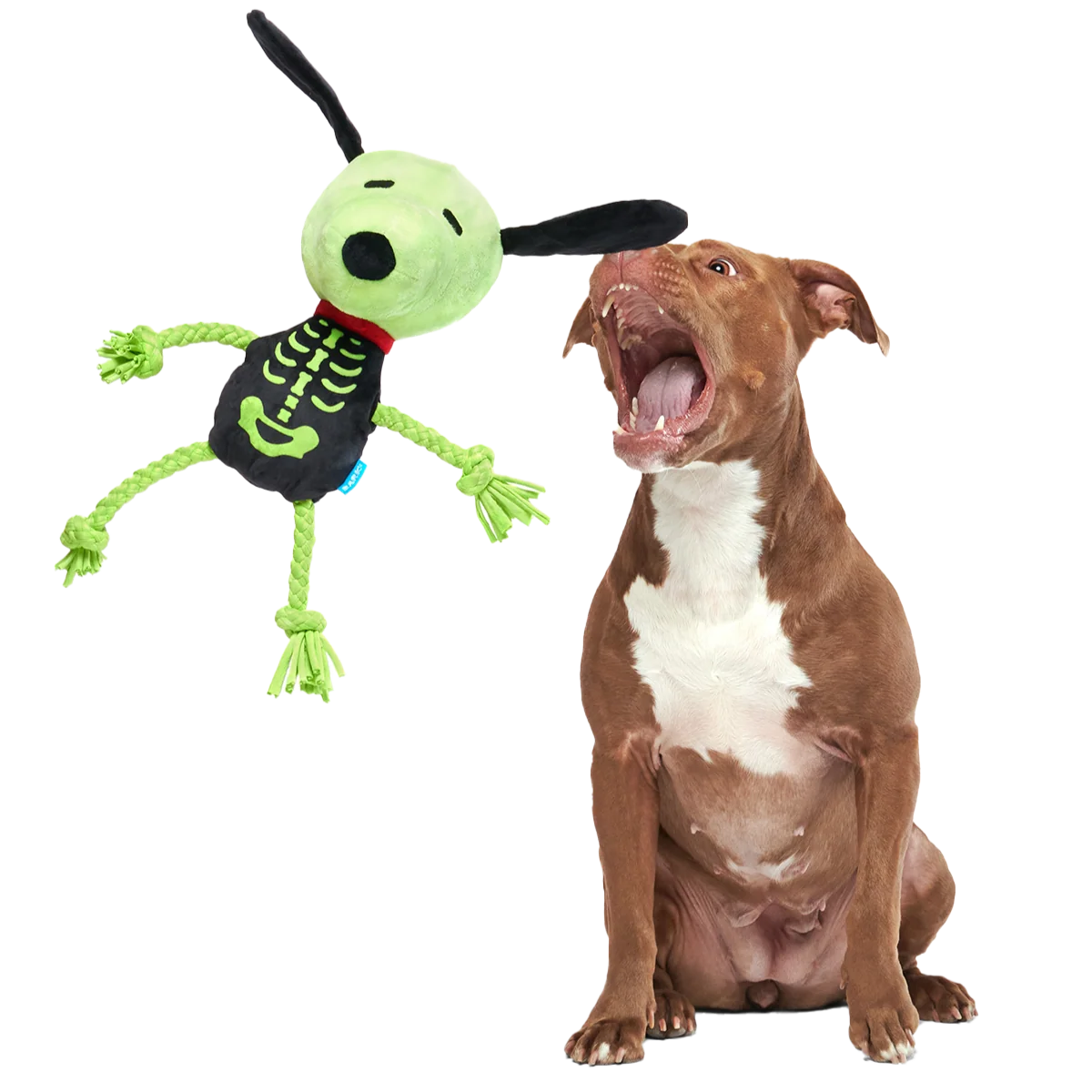 Rattling Bones Beagle Plush Extra-Large + Tug Dog Toy