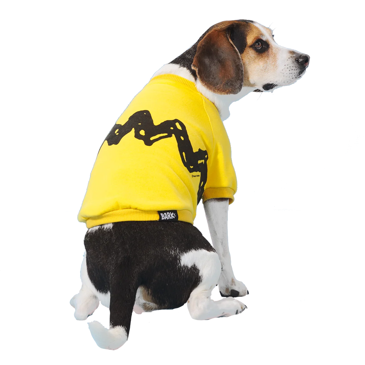Peanuts Dog Sweatshirt